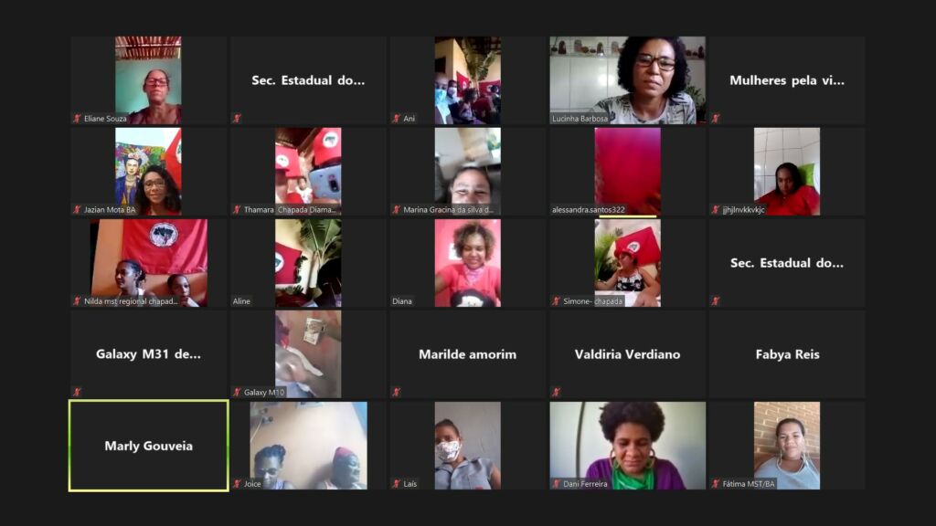 Plenária Virtual de Mulheres na Chapada Diamantina