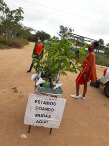 Escola Municipal Paulo Freire no Extremo Sul da Bahia comemora um ano do Projeto Plantando o Amanhã